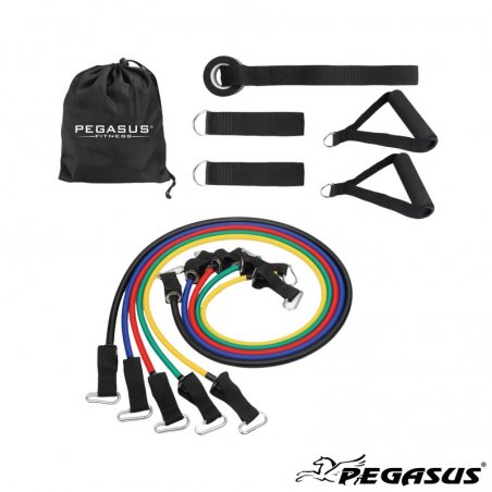 Pegasus - Σετ Λάστιχα Ενδυνάμωσης με Λαβές - Β-6333