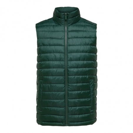Selected Slhtang Padded Gilet W - 16088344-MOUNTAIN VIEW