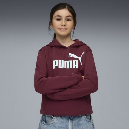 Puma Ess No. 1 Logo Hoodie Fl G - 684896-96