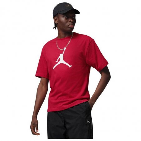 Nike M JORDAN Jumpman Ss Hbr Tee 2 - IR0340-687