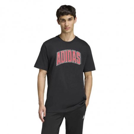 adidas-stadium-collegiate-graphic-t-shirt-kb4929