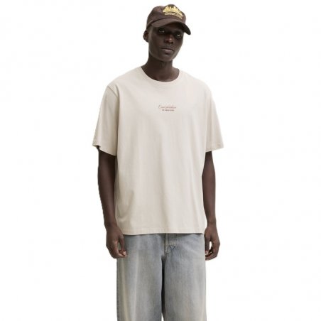 Jack & Jones Jjart Print Tee Ss Crew Neck - 12288095-MOONBEAM