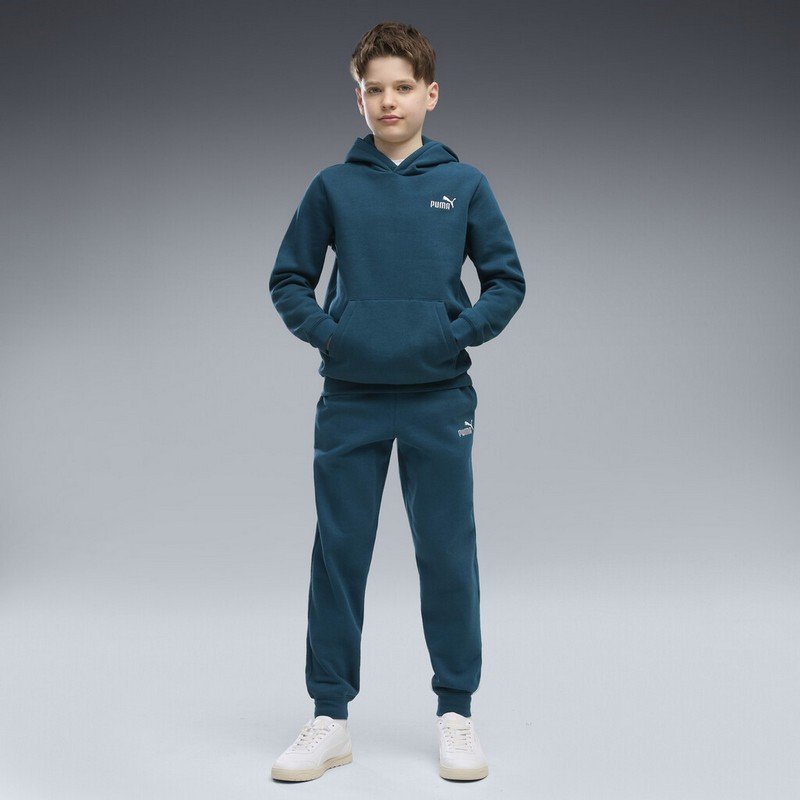 Puma Ess 2 Small No. 1 Logo Hoodie Fl B - 685825-36