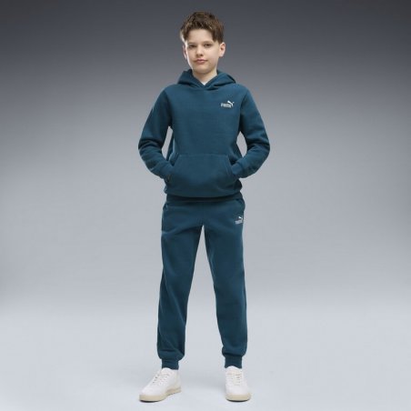Puma Ess 2 Small No. 1 Logo Hoodie Fl B - 685825-36
