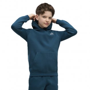 Puma Ess 2 Small No. 1 Logo Hoodie Fl B - 685825-36